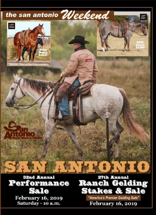 2019 San Antonio Sale Catalog.pdf